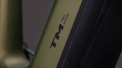 Cube Stereo Hybrid ONE44 HPC TM 800 reedgreen'n'matrix Gr&ouml;&szlig;e: L Produktbild 5