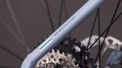 Cube Reaction Hybrid SLX 800 gauzegrey'n'iceblue Gr&ouml;&szlig;e: Easy Entry XL Produktbild 4