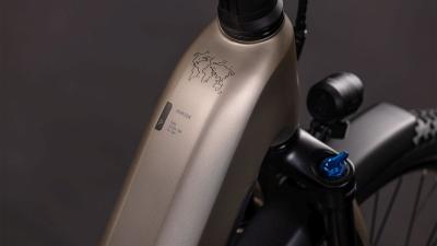 Cube Nuride Hybrid Pro 800 flashstone'n'chrome Gr&ouml;&szlig;e: Easy Entry 54 cm Produktbild 1