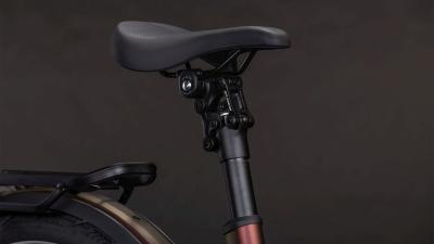 Cube Kathmandu Hybrid Pro 800 sunglow'n'chrome Gr&ouml;&szlig;e: Easy Entry 62 cm Produktbild 4