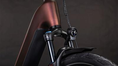 Cube Kathmandu Hybrid Pro 800 sunglow'n'chrome Gr&ouml;&szlig;e: Easy Entry 62 cm Produktbild 5