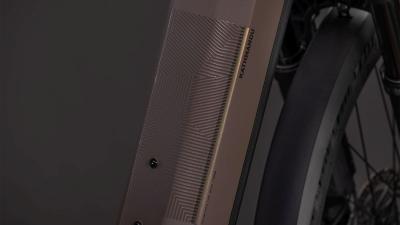 Cube Kathmandu Hybrid EXC 800 cedar'n'chrome Gr&ouml;&szlig;e: Easy Entry 54 cm Produktbild 3