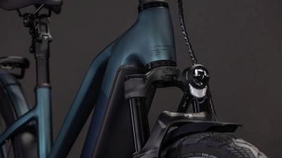 Cube Kathmandu Hybrid SLT 800 duskwood'n'goblin Gr&ouml;&szlig;e: Trapeze 46 cm Produktbild 4