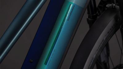 Cube Kathmandu Hybrid SLT 800 duskwood'n'goblin Gr&ouml;&szlig;e: Trapeze 58 cm Produktbild 2