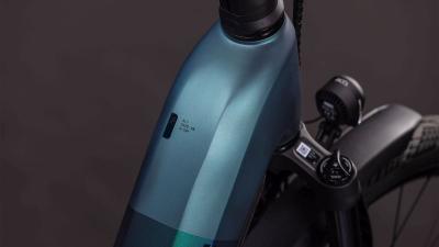 Cube Kathmandu Hybrid SLT 800 duskwood'n'goblin Gr&ouml;&szlig;e: Easy Entry 62 cm Produktbild 1