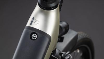 Cube Supreme RT Hybrid Comfort EXC 600 champagne'n'grey Gr&ouml;&szlig;e: Easy Entry 50 cm Produktbild 1