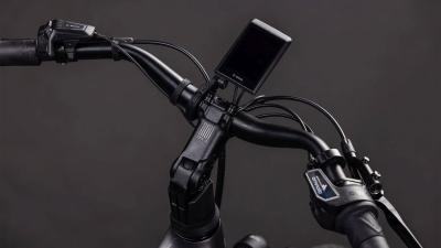 Cube Supreme Hybrid Deluxe Pro 600 quicksilver'n'grey Gr&ouml;&szlig;e: Easy Entry 46 cm Produktbild 2