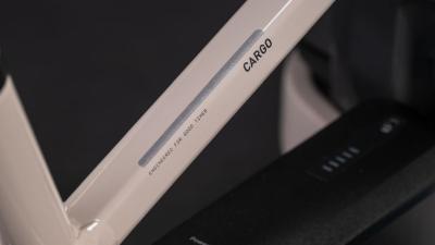 Cube Cargo Hybrid Comfort Pro Family 800 oatgrey'n'reflex Gr&ouml;&szlig;e: 26" / 20": ONE SIZE Produktbild 2