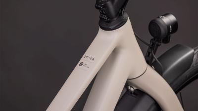 Cube Editor Pro FE oatgrey'n'grey Gr&ouml;&szlig;e: Trapeze 46 cm Produktbild 1