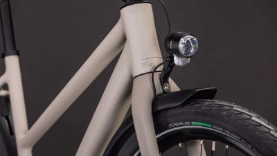 Cube Editor Pro FE oatgrey'n'grey Gr&ouml;&szlig;e: Trapeze 46 cm Produktbild 4