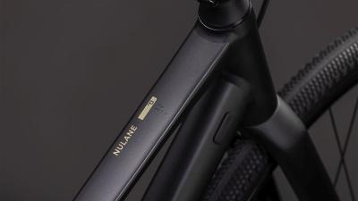 Cube Nulane Pro grey'n'chrome Gr&ouml;&szlig;e: Trapeze 50 cm Produktbild 1