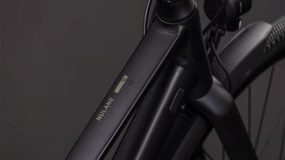 Cube Nulane Pro FE grey'n'chrome Gr&ouml;&szlig;e: Trapeze 47 cm Produktbild 1