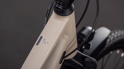 Cube Kathmandu ONE oatgrey'n'grey Gr&ouml;&szlig;e: Trapeze 54 cm Produktbild 3