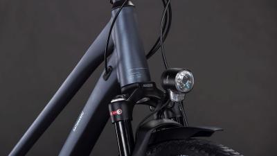 Cube Kathmandu EXC metallicgrey'n'chrome Gr&ouml;&szlig;e: Trapeze 54 cm Produktbild 5