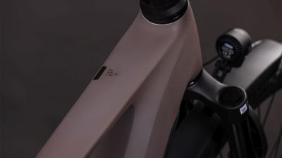 Cube Kathmandu Hybrid EXC 800 cedar'n'chrome Gr&ouml;&szlig;e: 64 cm Produktbild 1