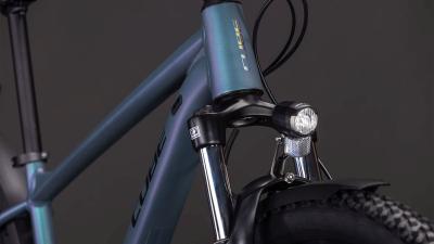 Cube Aim Pro FE smaragdgrey'n'prism Gr&ouml;&szlig;e: XL Produktbild 4