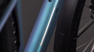 Cube Aim Pro FE smaragdgrey'n'prism Gr&ouml;&szlig;e: XXL Produktbild 2