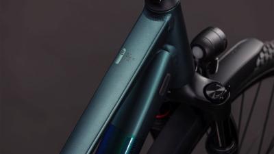 Cube Kathmandu SLT duskwood'n'goblin Gr&ouml;&szlig;e: Trapeze 54 cm Produktbild 1