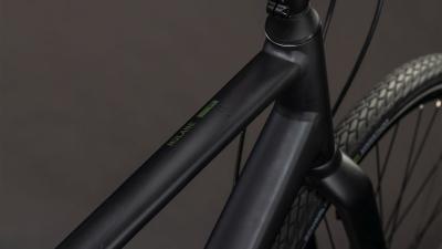 Cube Nulane Comfort EXC grey'n'chrome Gr&ouml;&szlig;e: 54 cm Produktbild 1