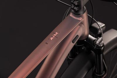 Cube Aim SLX FE rustyrose'n'peach Gr&ouml;&szlig;e: L Produktbild 1