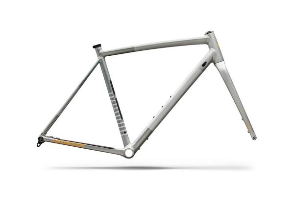 Specialized Crux DSW Frameset - D'Aluisio Smartweld Alloy Shadow Silver/California Sunshine 56