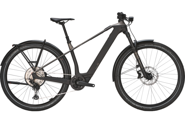 BULLS SONIC SX DAKAR monza grey / UD carbon 29 Zoll M