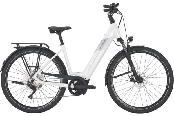 PEGASUS PREMIO EVO 10 metallic off white matte 28 Zoll L