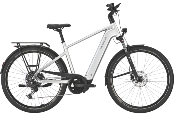 PEGASUS PREMIO EVO 10 Lite arctic silver 28 Zoll M