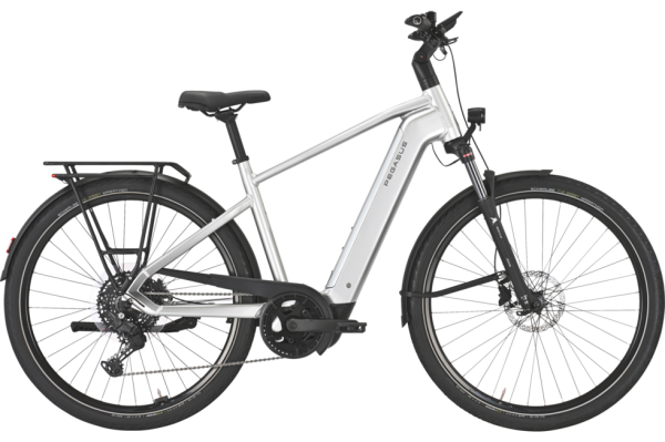 PEGASUS PREMIO EVO 10 Lite arctic silver 28 Zoll S