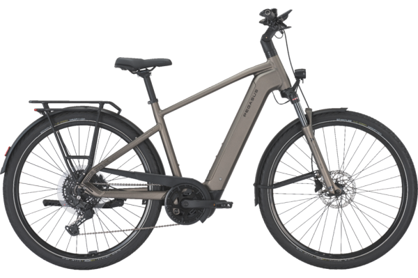 PEGASUS PREMIO EVO 10 Lite monza grey matte 28 Zoll S