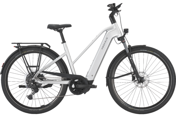 PEGASUS PREMIO EVO 10 Lite arctic silver 28 Zoll S