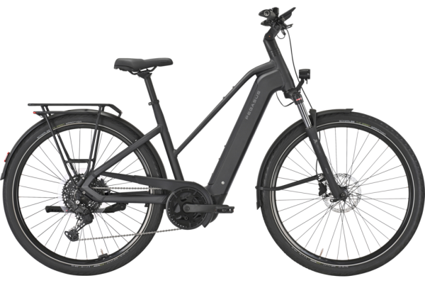 PEGASUS PREMIO EVO 10 Lite matte black 28 Zoll M