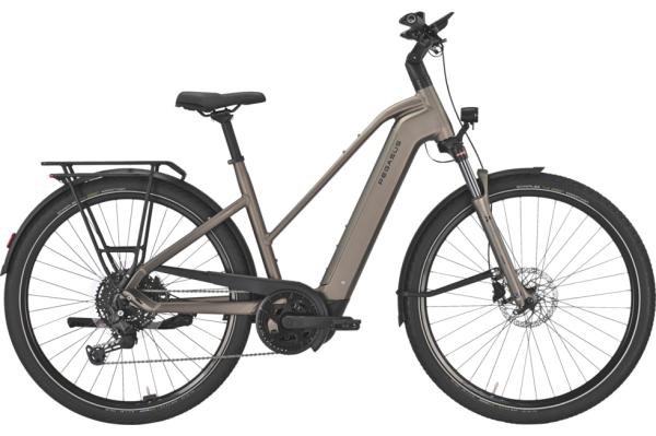 PEGASUS PREMIO EVO 10 Lite monza grey matte 28 Zoll M