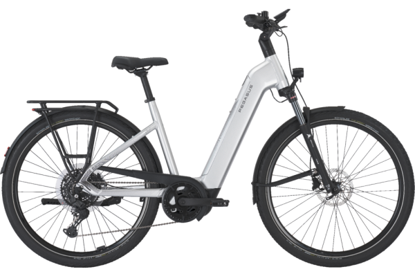 PEGASUS PREMIO EVO 10 Lite arctic silver 28 Zoll L