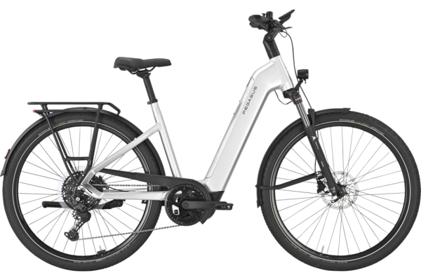 PEGASUS PREMIO EVO 10 Lite arctic silver 28 Zoll M