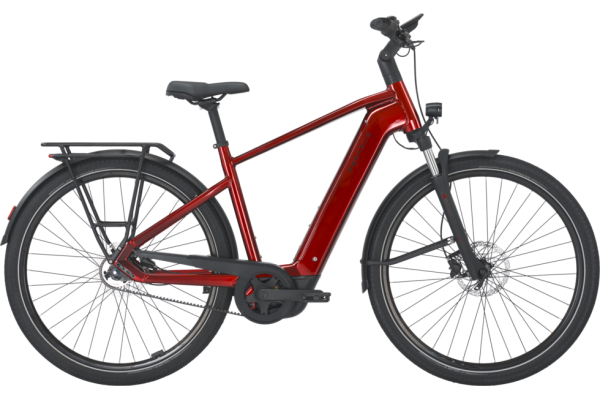 PEGASUS PREMIO EVO 5F Belt fire red 28 Zoll S