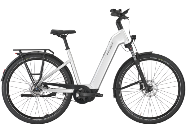 PEGASUS PREMIO EVO 5F Belt arctic silver 28 Zoll M