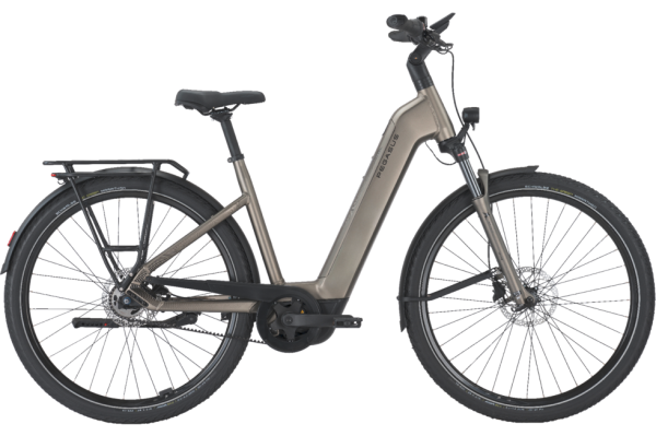 PEGASUS PREMIO EVO 5F Belt monza grey matte 28 Zoll M