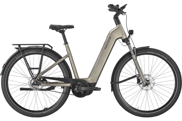 PEGASUS PREMIO EVO 5F Belt monza grey matte 28 Zoll L