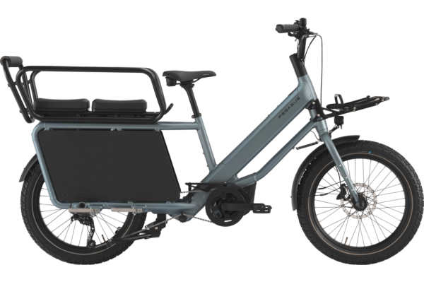 PEGASUS FAMULO holographic grey matte 22 Zoll Onesize