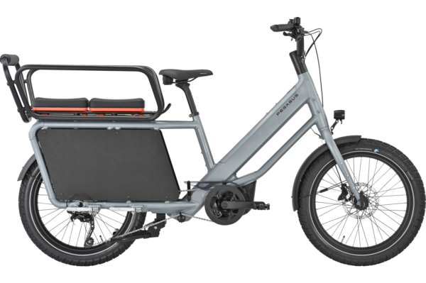 PEGASUS FAMULO holographic grey matte 22 Zoll Onesize