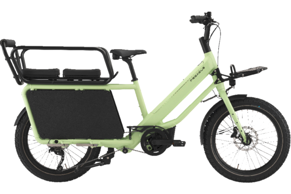 PEGASUS FAMULO paradise green matte 22 Zoll Onesize