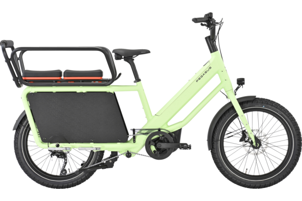 PEGASUS FAMULO paradise green matte 22 Zoll Onesize