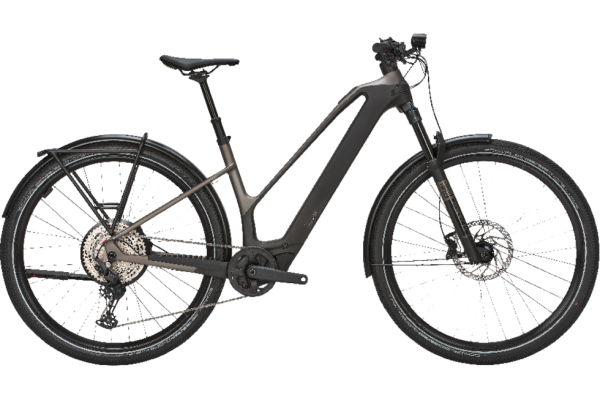 BULLS SONIC SX DAKAR low monza grey / UD carbon 29 Zoll M