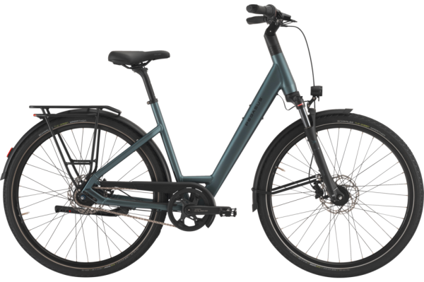 PEGASUS Strong SL 8 veridian matt 28 Zoll L