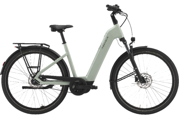 PEGASUS Solero EVO 7F Belt sage 28 Zoll S