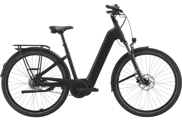 PEGASUS Solero EVO 5R Belt dark metallic black 28 Zoll L