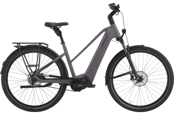 PEGASUS Estremo EVO 9 Lite provence matt 28 Zoll M