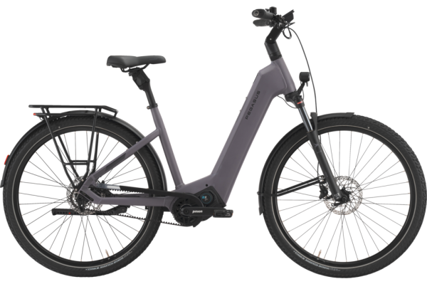 PEGASUS Estremo EVO 9 Lite provence matt 28 Zoll S