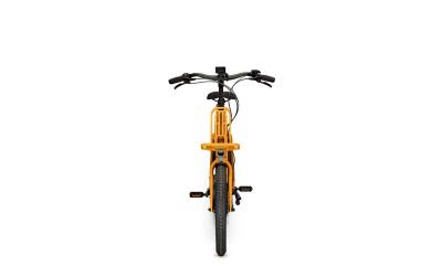 Kalkhoff IMAGE C+ ADVANCE 48 20" 5 mustardyellow matt Compact Produktbild 4